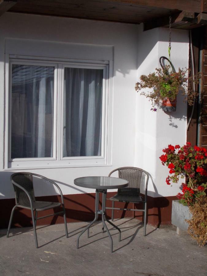 Appartement Christian Baltzenheim エクステリア 写真